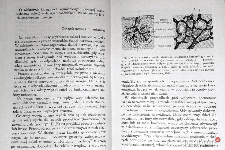 Rozwój uczuć Stanisław Gerstmann Chełm