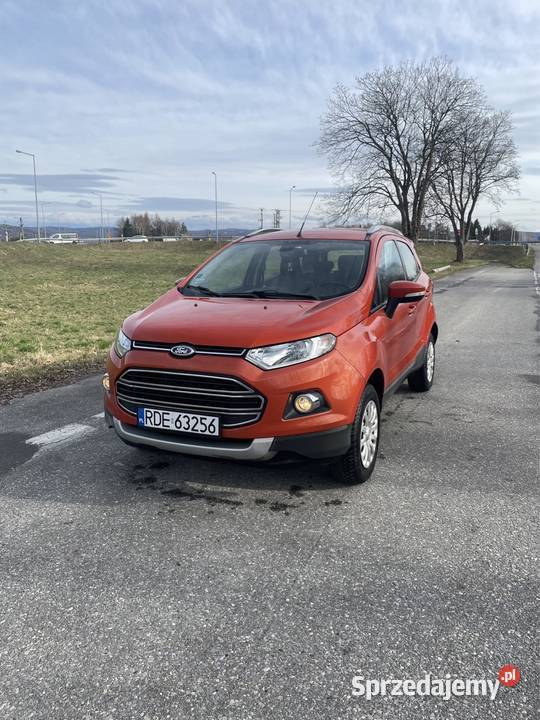 Ford Eco Sport elektryczne lusterka Pilzno