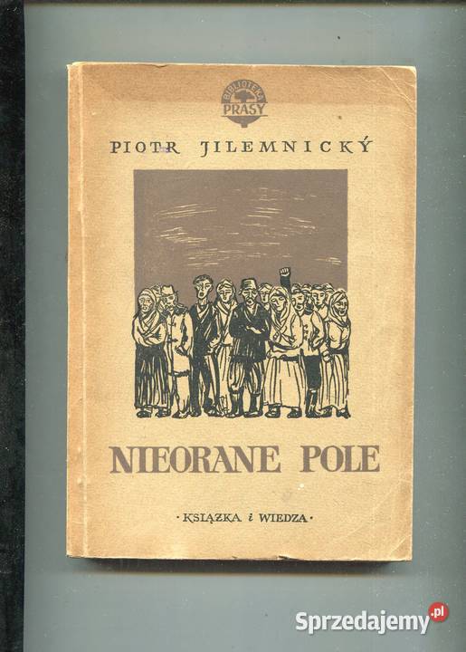 Nieorane pole Piotr Jilemnicky Szczecin