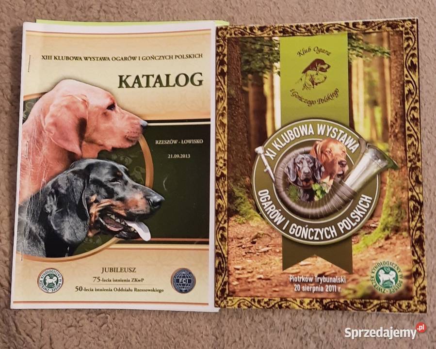 Katalogi Wystawowe XI i XIII Klubowa Wystawa Warszawa sprzedam