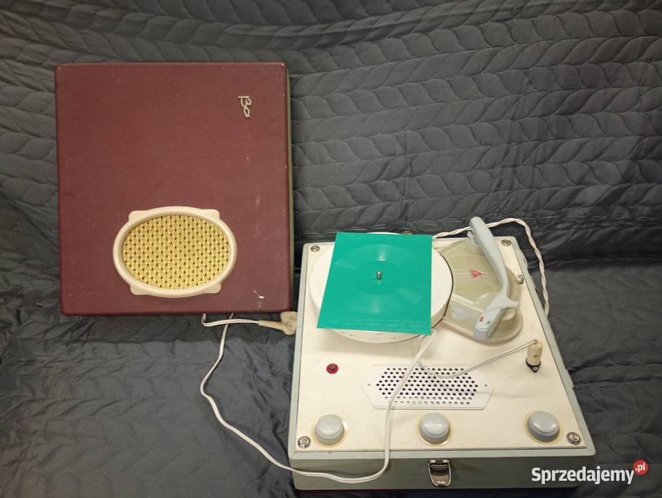 adapter Bambino sprawny Tarnów