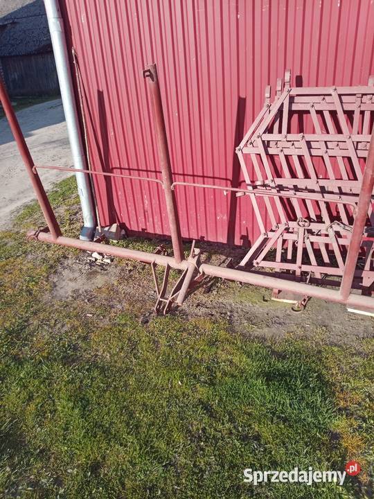 Duże brony trójki Grudziądz Frampol sprzedam