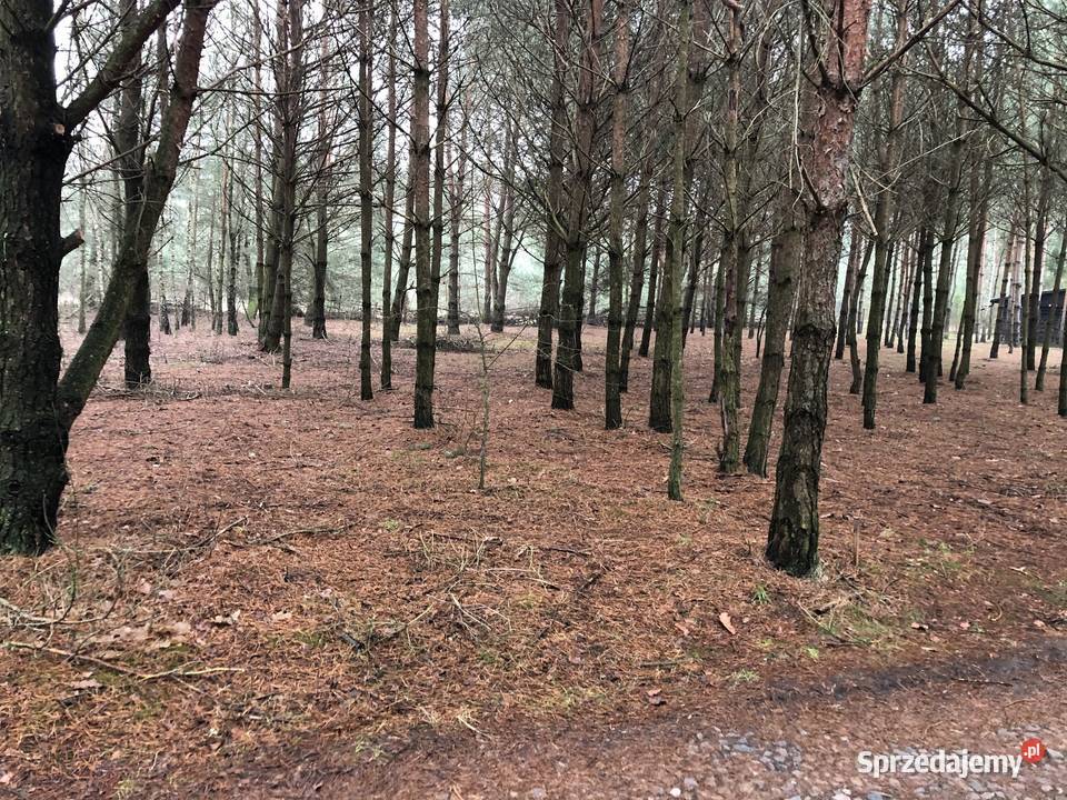 działka rekreacyjna Basinów k Wyszkowa 42m