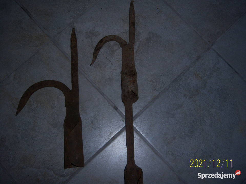 Bosak bosaki kolekcjonerskie kute Pozostałe świętokrzyskie Kielce