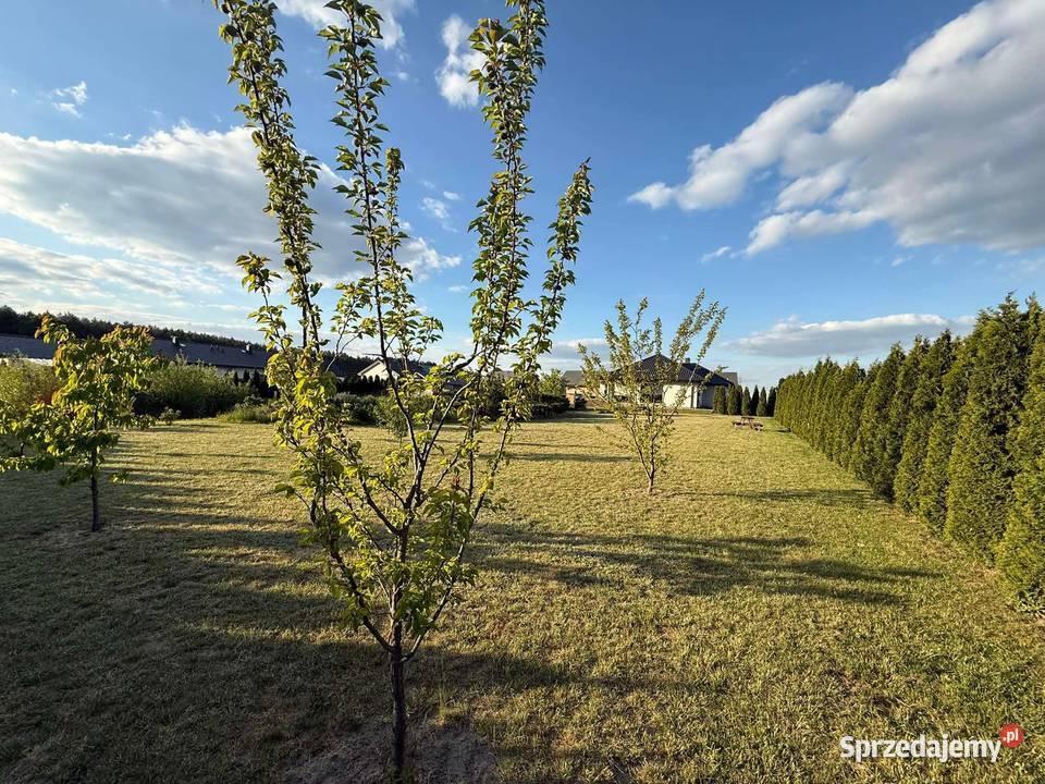Dom jednorodzinny ze stawem na dużej działce 9085zł/m2