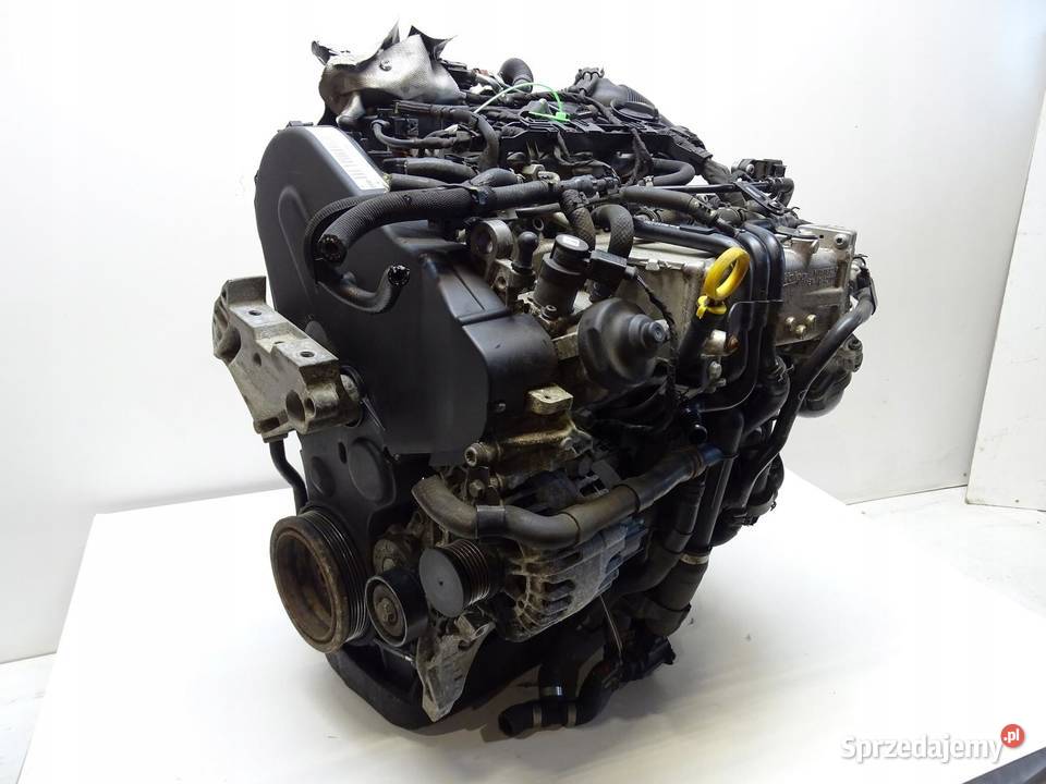 SILNIK DBK 16 TDI OCTAVIA III AUDI A3 8V Q2 LEON małopolskie