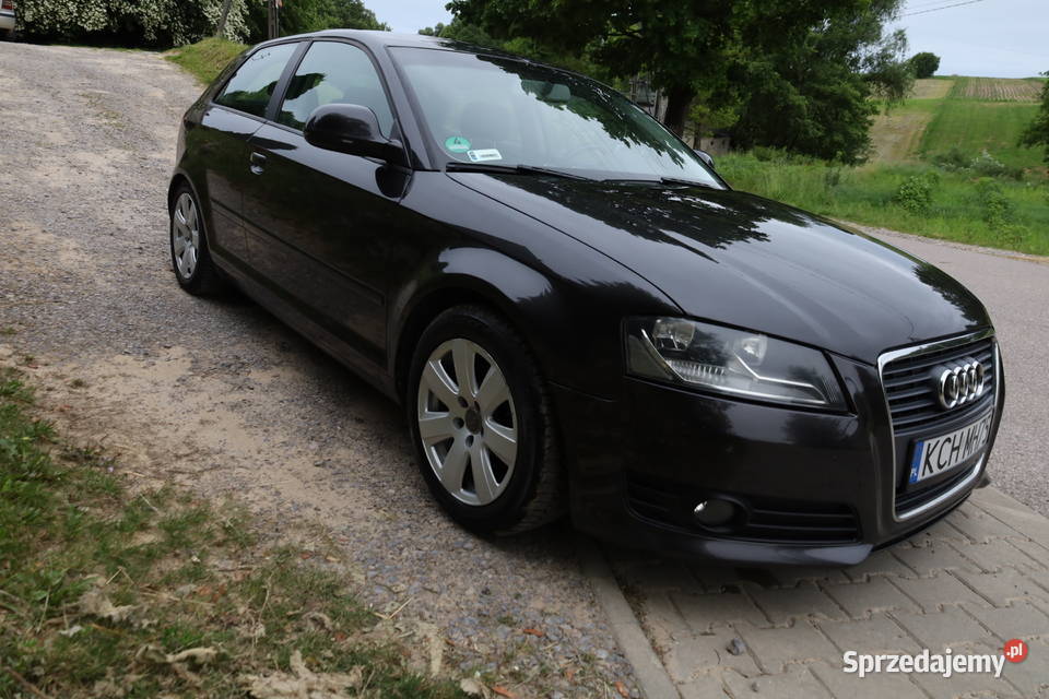 AUDI A3 8P LIFT Łagów