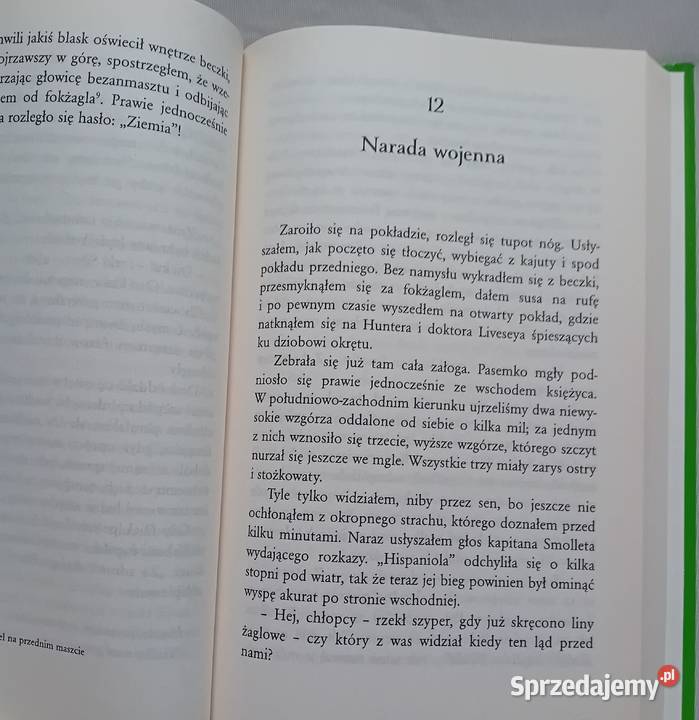 Robert Louis Stevenson Wyspa skarbów Wydawn wielkopolskie Koźminek