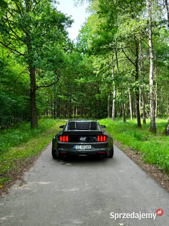 Mustang GT 50 Widebody