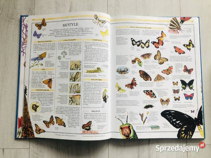 Ilustrowana encyklopedia przyrody Encyklopedie Łódź