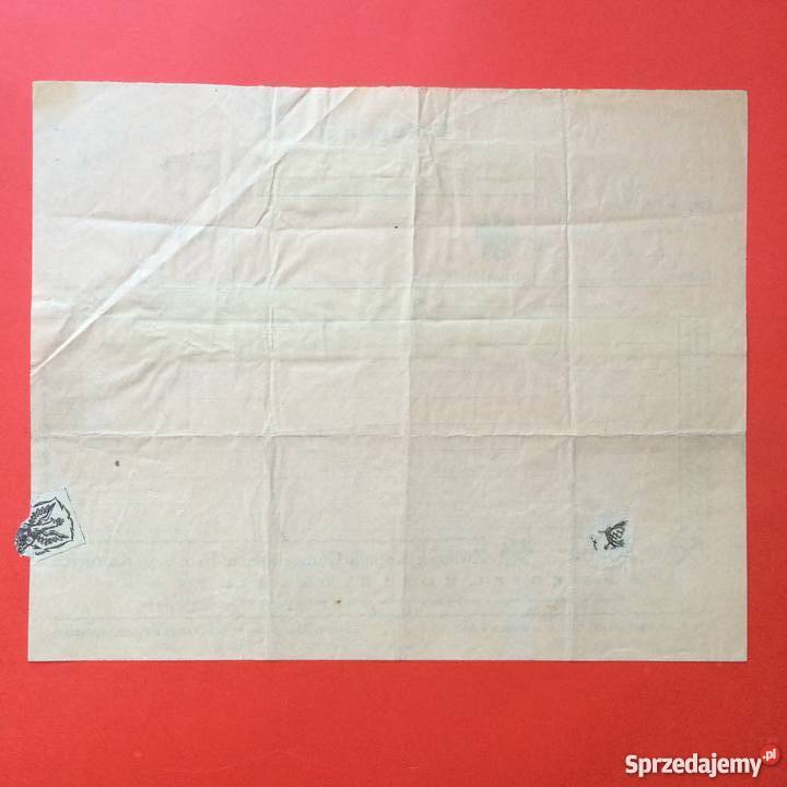 1113 Telegram Cieszyn Szczecin