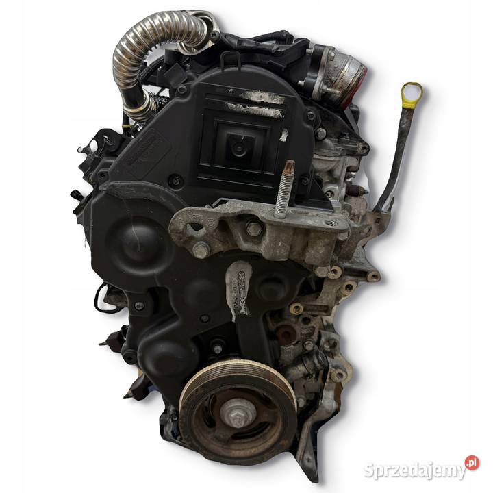 SILNIK KOMPLETNY G8DD Ford Focus II MK2 C C 16 Silniki i osprzęt lubelskie Chełm