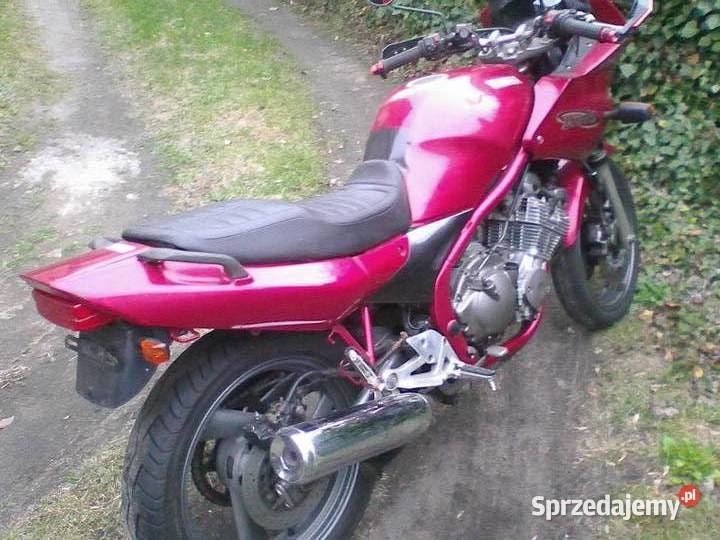 yamaha diversion 600 Yamaha