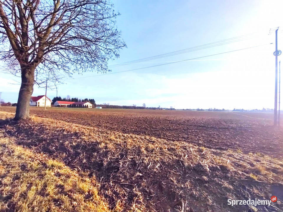 sprzedaży działki Palikije Drugie 4500m2 kanalizacja lubelskie