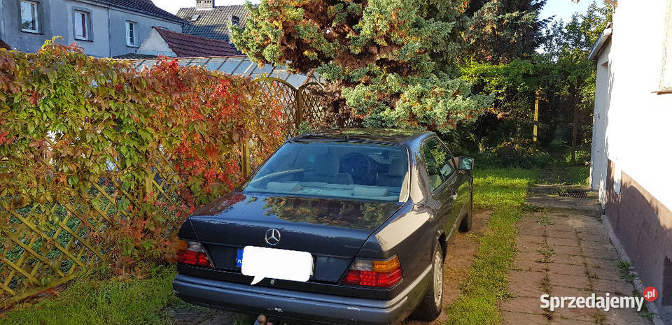 MercedesBenz W124 89 230CEGAZ SWIETNY STAN 293000km lubuskie Trzciel