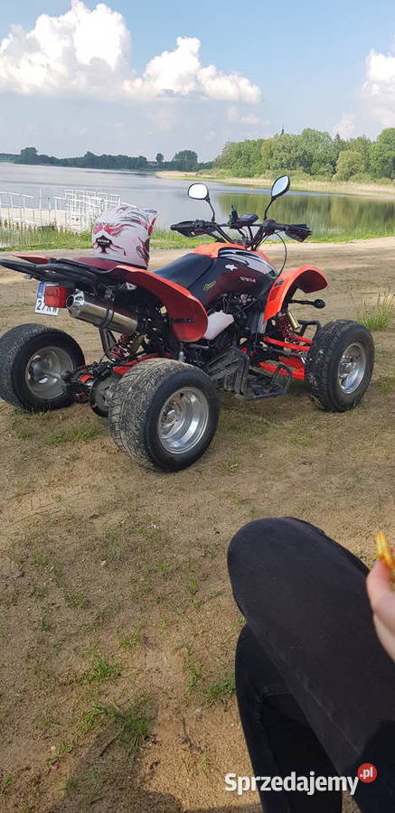Quad shinerya swap kawsaki ninja 35 koni Kłodawa