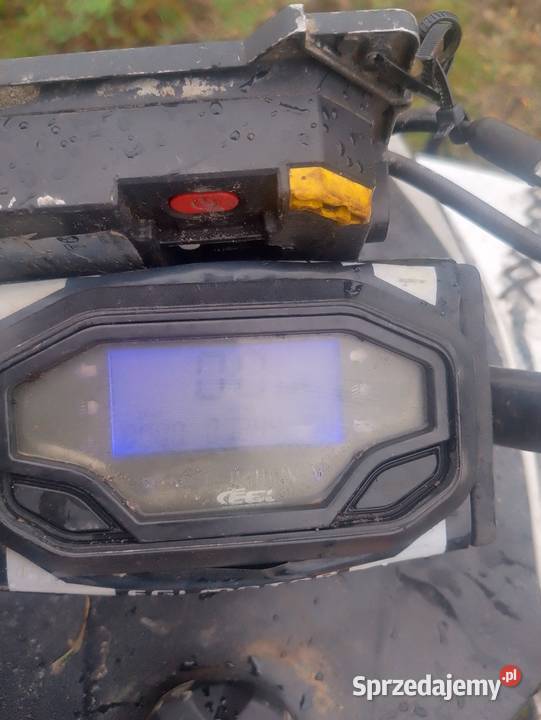 Sprzedam quada egl 250 mad maxx Nowa Dęba