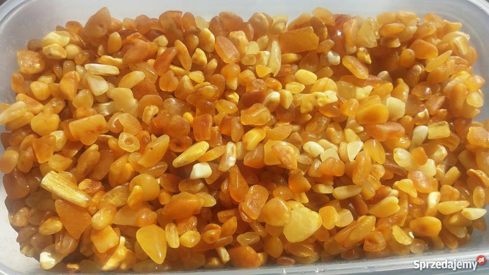 sprzedaż bursztynu Pozostałe Gdańsk