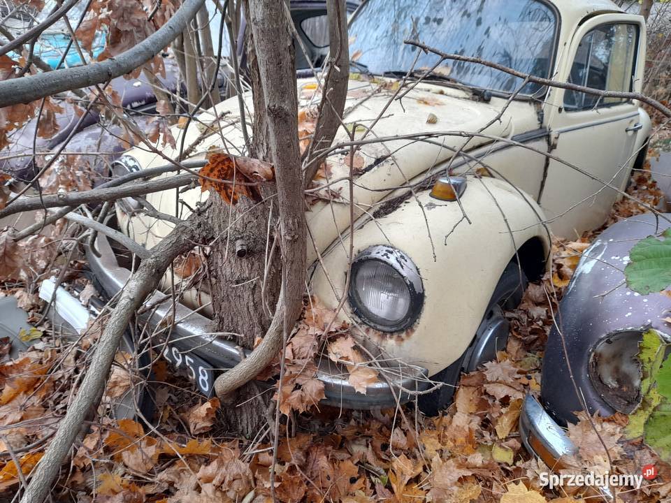 vw garb pomnik reklama projekt części Bydgoszcz