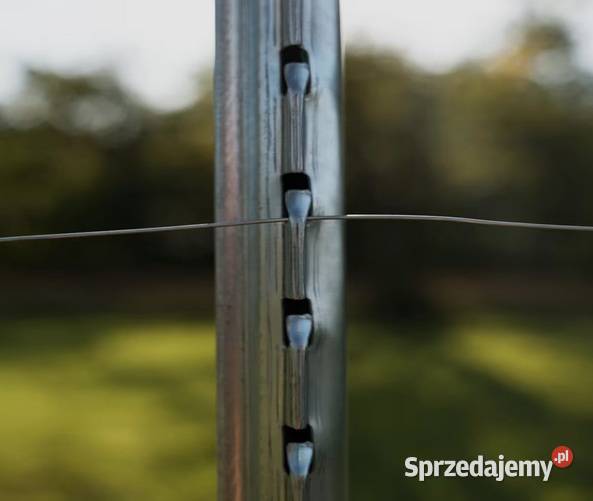 Siatka leśna 50mb zagęszczana słupki leśne małopolskie Miechów