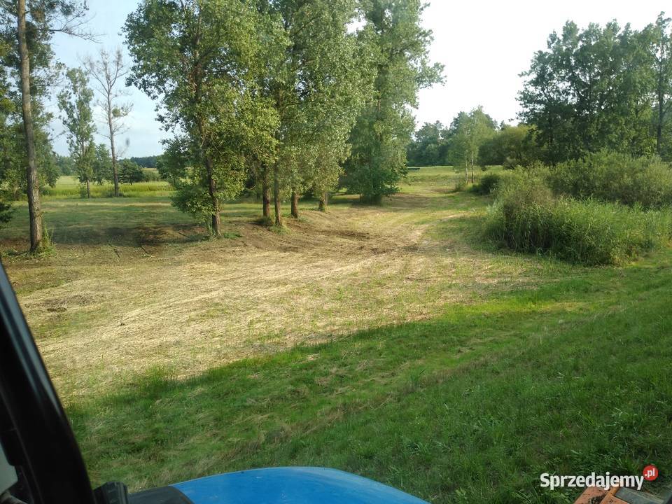 Mulczerowanie frezowanie drzew zakrzaczeń pni podkarpackie Gorzyce