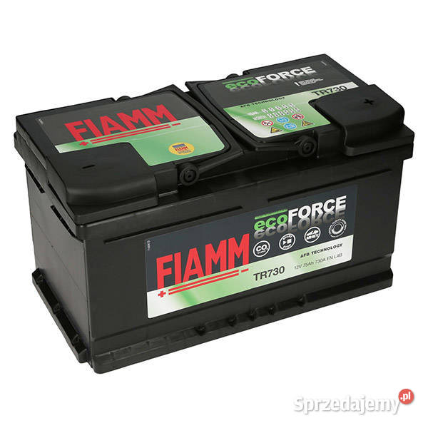Akumulator Fiamm EcoForce AFB 12V 75Ah 730A P Akumulatory Jelcz-Laskowice