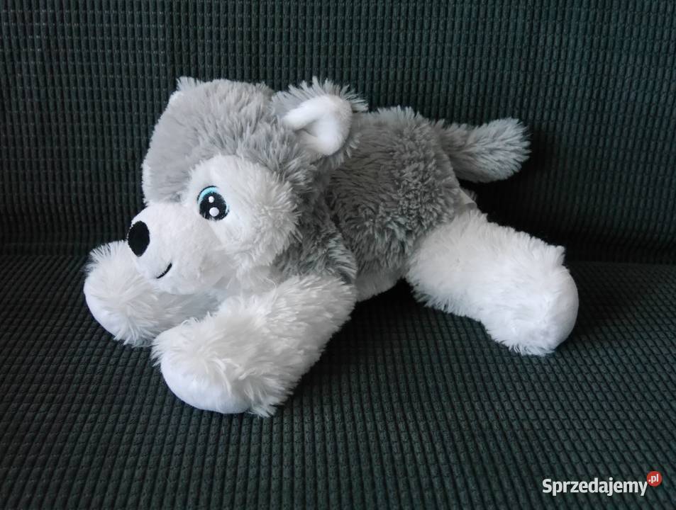 Maskotka piesek husky nowy Wrocław