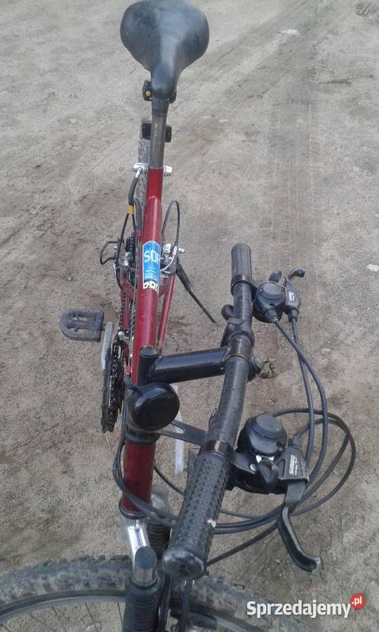 Rower FORESTER Dobropole
