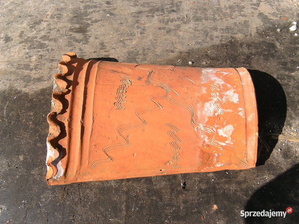 gąsior gąsiory dachowe