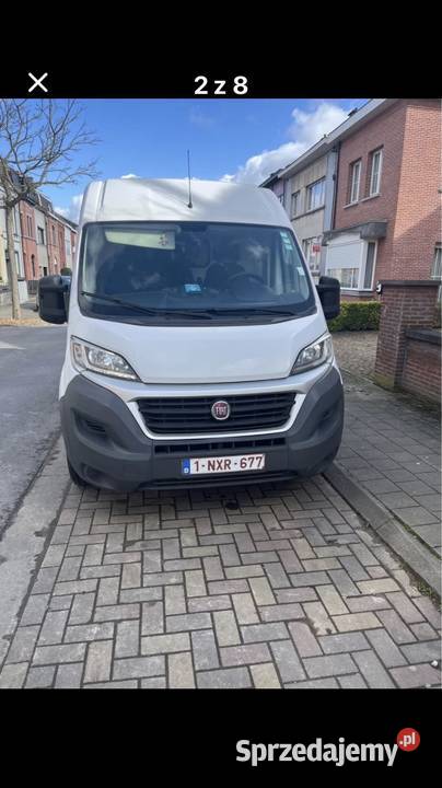 Fiat Ducato kamera cofania Marynki