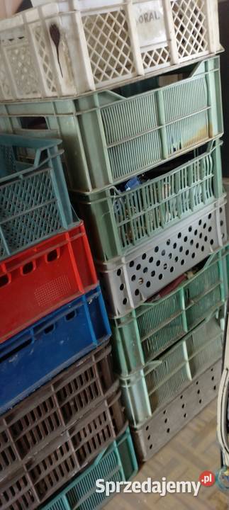Kosze plastikowe skrzynka 10 sztuk 150 Jarosław