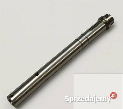 WAŁEK Z KOŁNIERZEM 2019050090 RCW mazowieckie Siedlce