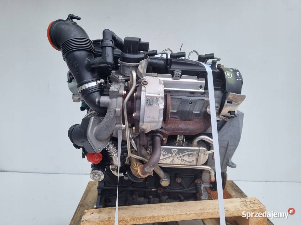 SILNIK KOMPLET Seat Ibiza IV 16 TDI 105 osobowe lubelskie Rudka