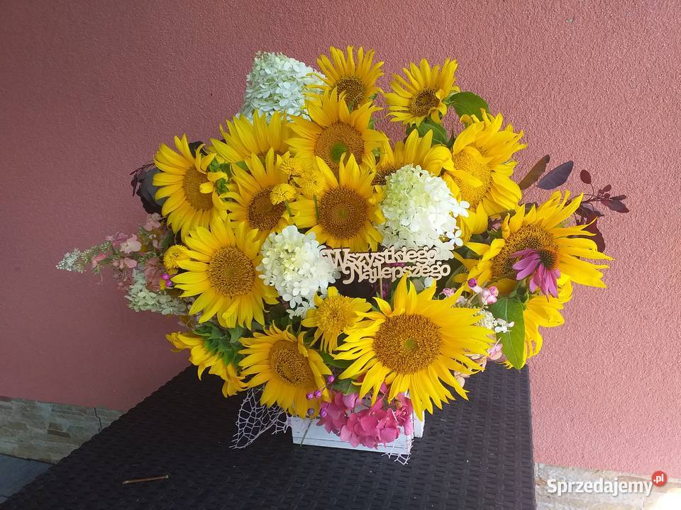 Słonecznik Gierałtowiczki sprzedam