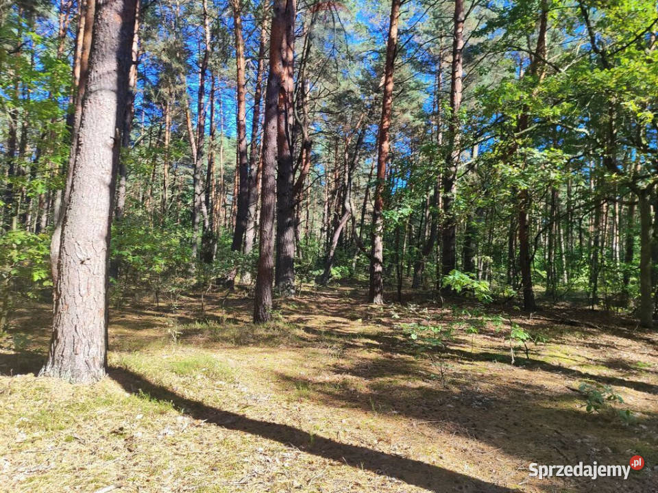 Na sprzedaż Działka Osiedle Wilga mazowieckie