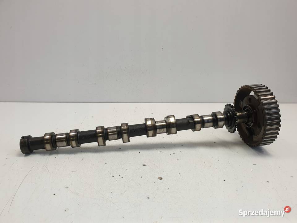 WAŁEK ROZRZĄDU Lancia Phedra 22 JTD wydechowy Rozrząd lubelskie Chełm