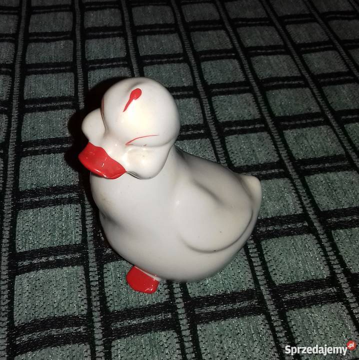 Śliczna kaczuszka Warszawa