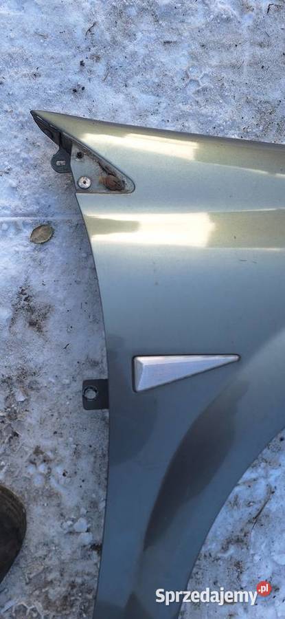 Błotnik prawy Renault Megane II Myszków