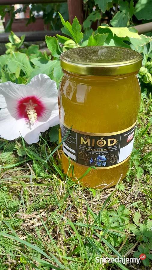 Miód Wielokwiatowy LIPOWY SPADZ LISCIASTA zbiór Miody i produkty pszczele Sarny Małe