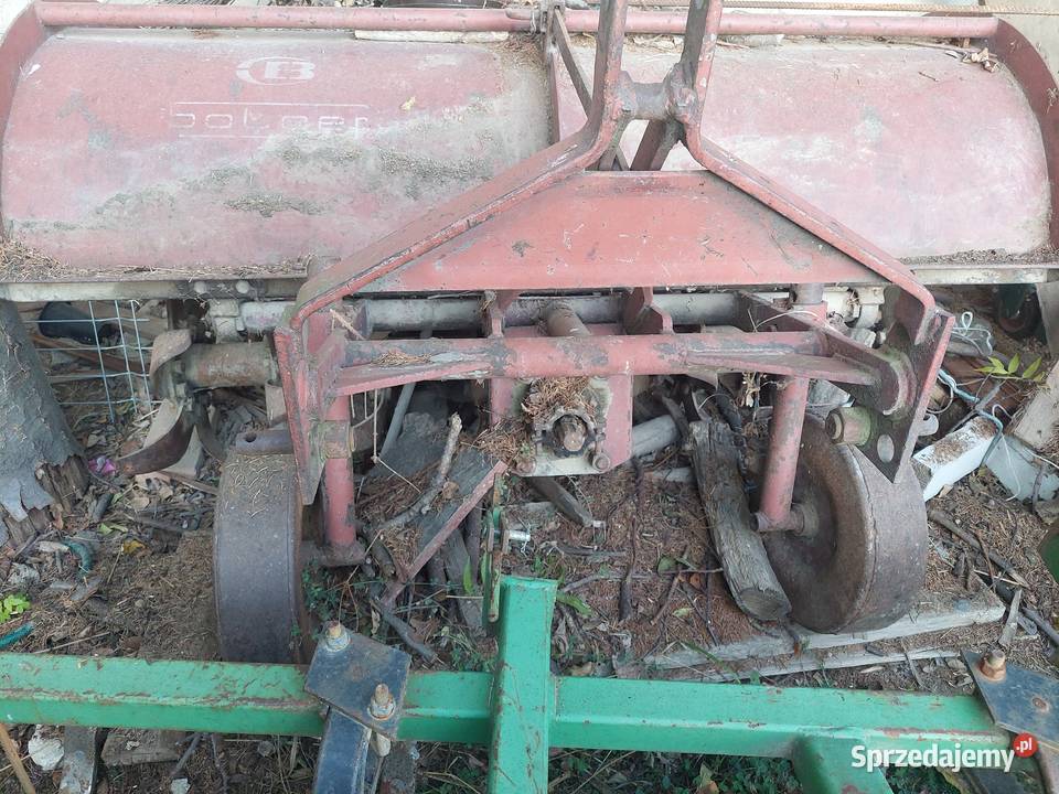 Glebogryzarka Solger podkarpackie Konieczkowa