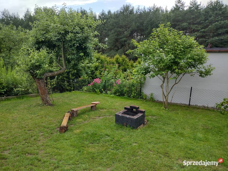 Działka ROD z domkiem 2026 Aleksandrów Kujawski sprzedam