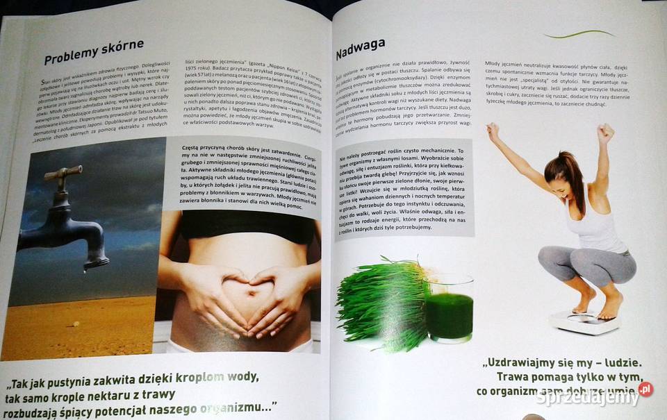 Napoje z trwa Vaclav Rathousky Chełm