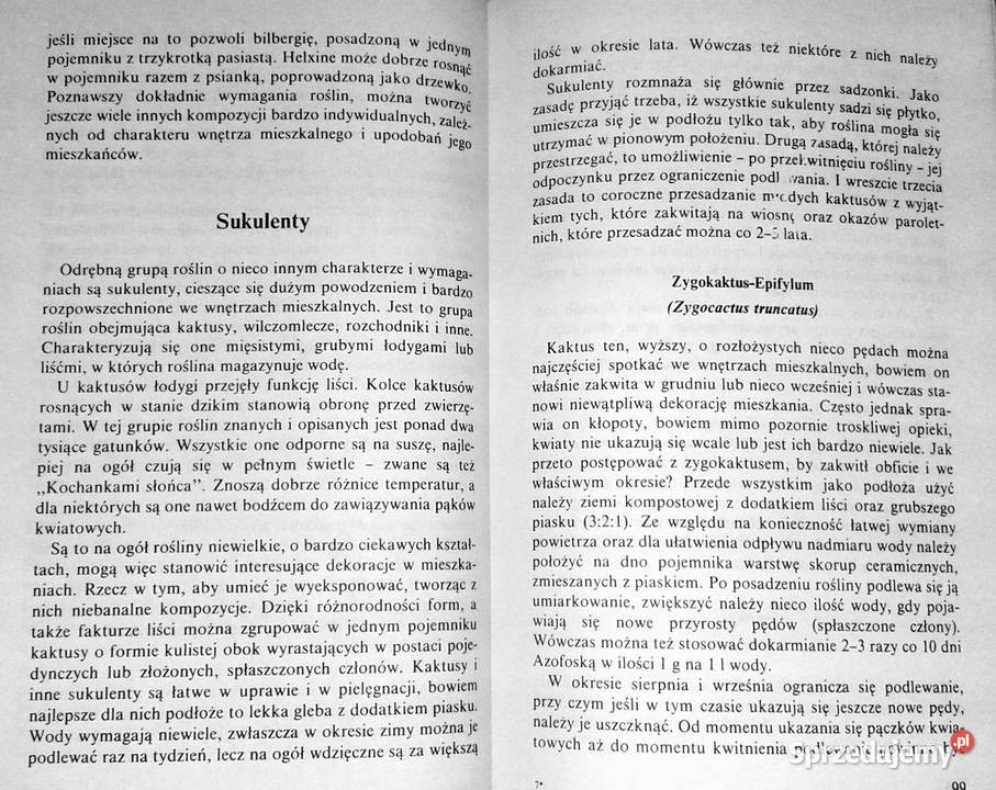 Rośliny ozdobne w mieszkaniu Krystyna Onitzchowa Chełm