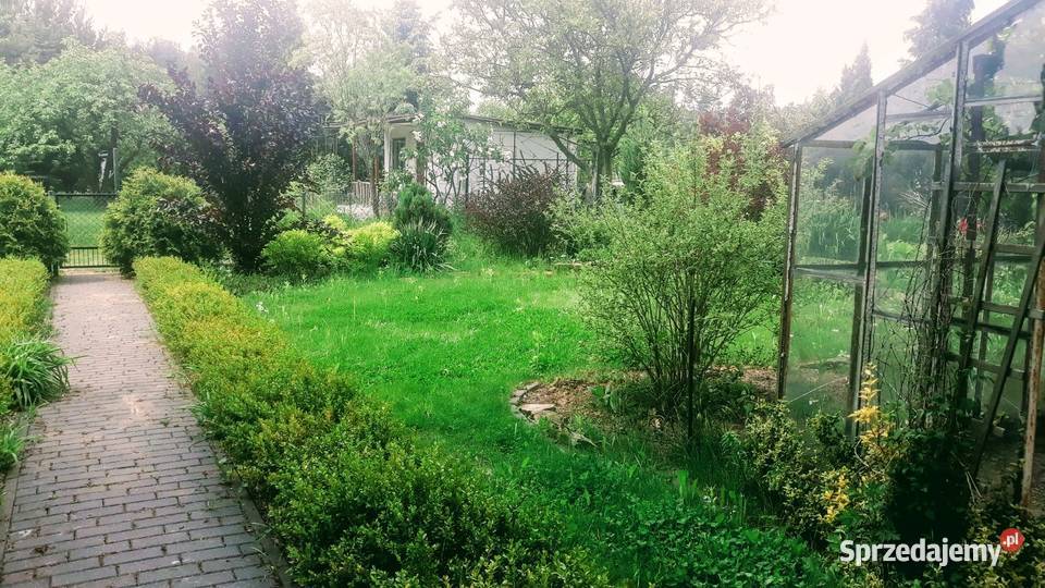 Działka ROD Widzew Zakładowa 420m Zadbana prąd Łódź