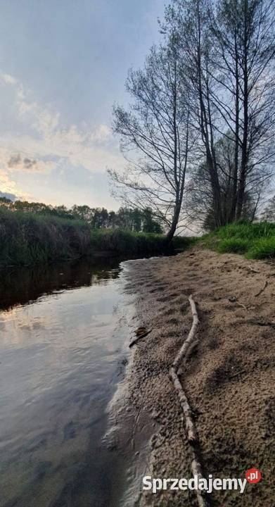 Sprzedam piękną dużą działkę przyrody pod Kruki