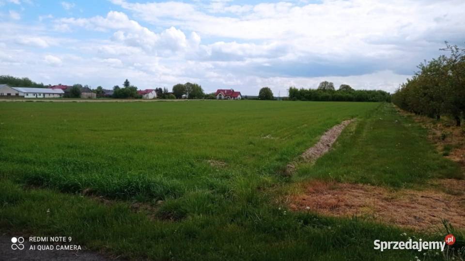 Działka rolna 244ha Sienno