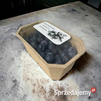 POJEMNIKI NA OWOCE MALINY TRUSKAWKI BORÓWKI Rolnictwo Warszawa