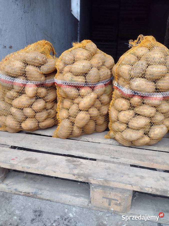 Ziemniaki sprzedam Ibramowice