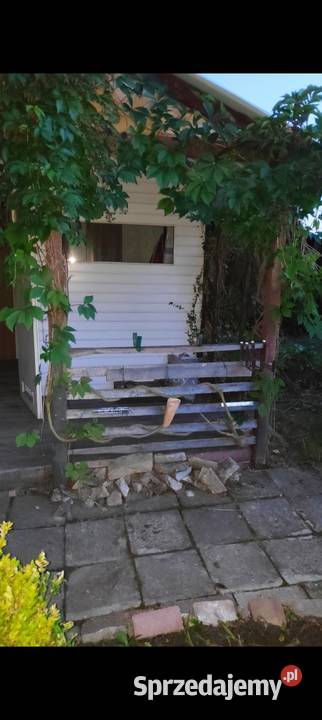 Sprzedam działkę Rod Aster