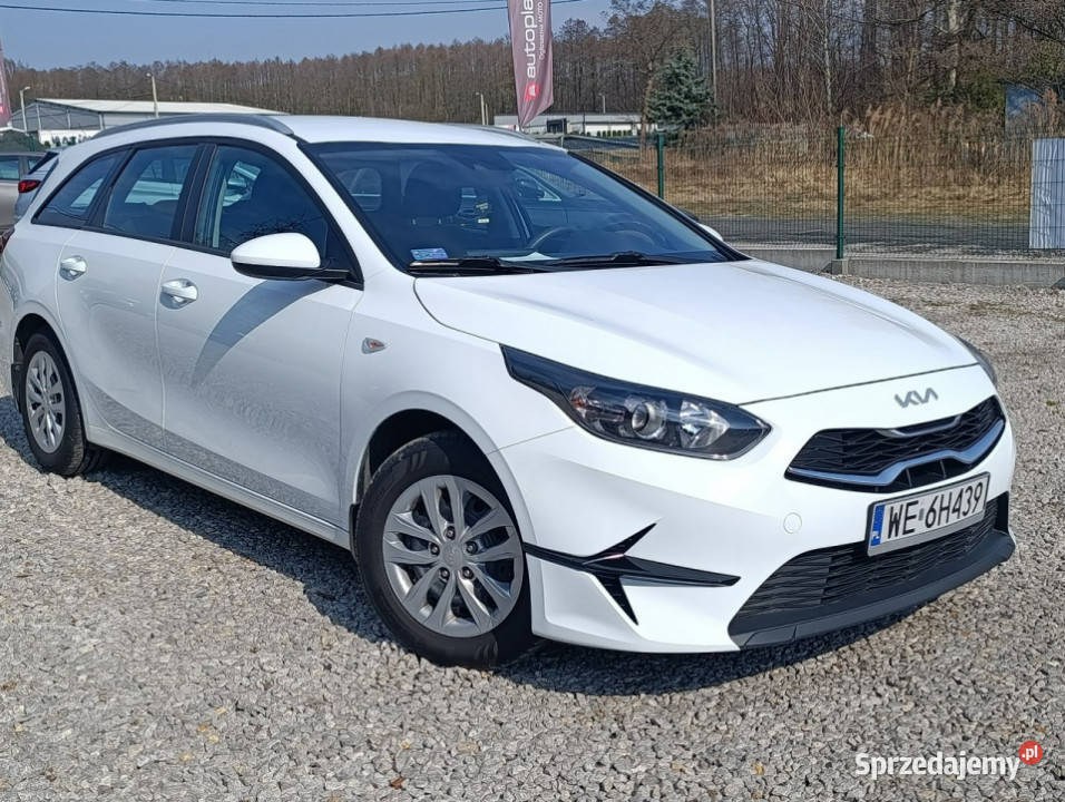 Kia Ceed Krajowy Bezwypadkowy Serwis ASO III 1482cm3 Kia